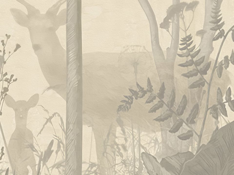 Fototapeta Gęsty Las z Wysokimi Drzewami fragment #1