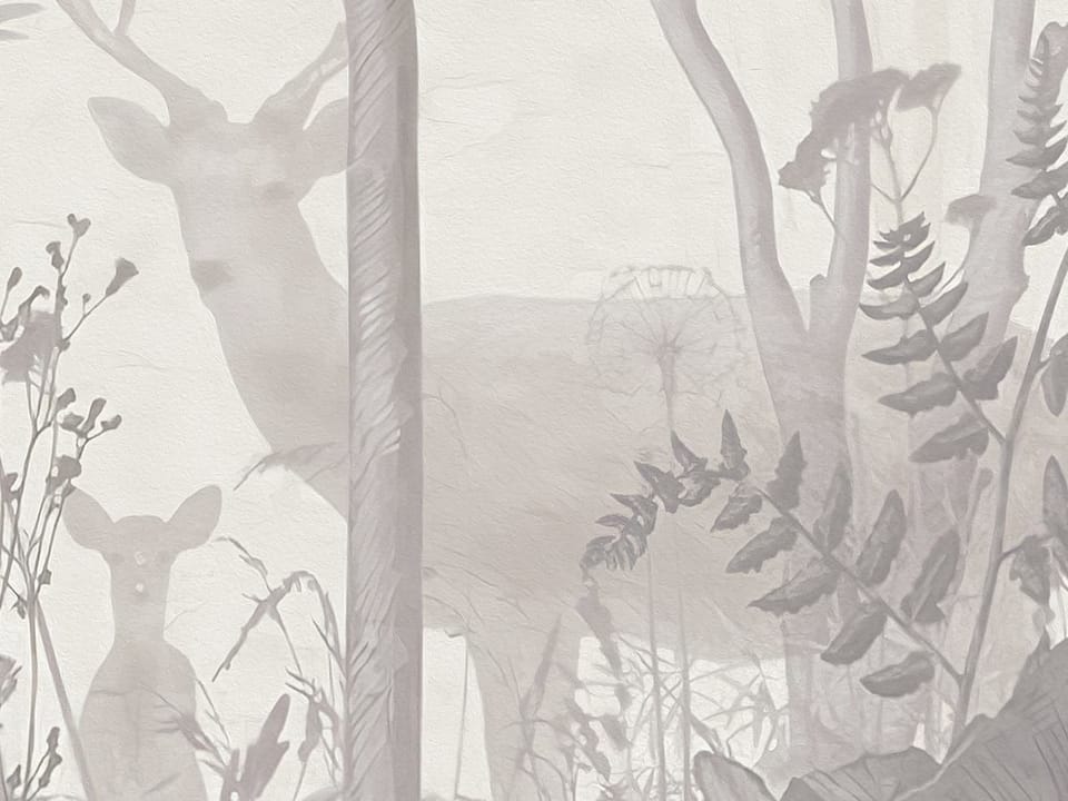 Fototapeta Gęsty las z wysokimi drzewami fragment #1