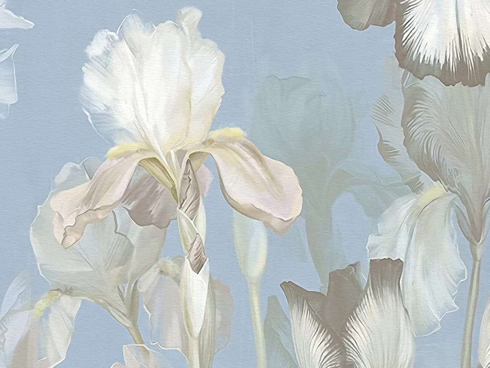 Fototapeta Pole irysów na tle nieba fragment #1