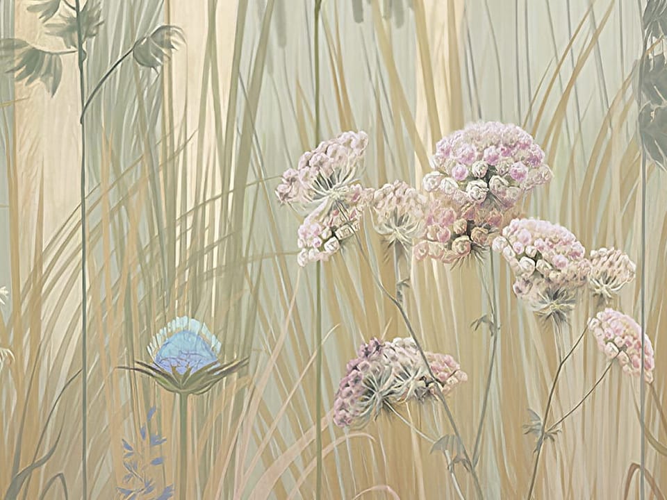 Fototapeta Las z Wysokimi Drzewami i Mgłą fragment #1