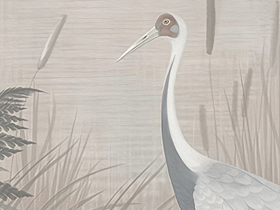 Fototapeta Las z wysokimi drzewami i mgłą fragment #1