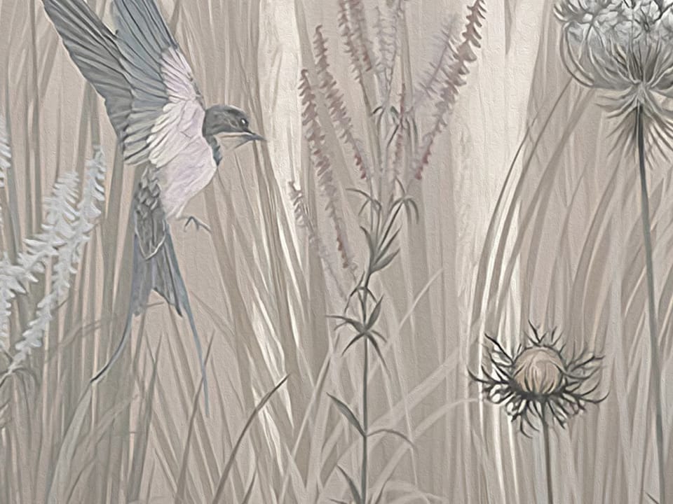 Fototapeta Las z wysokimi drzewami i mgłą fragment #2