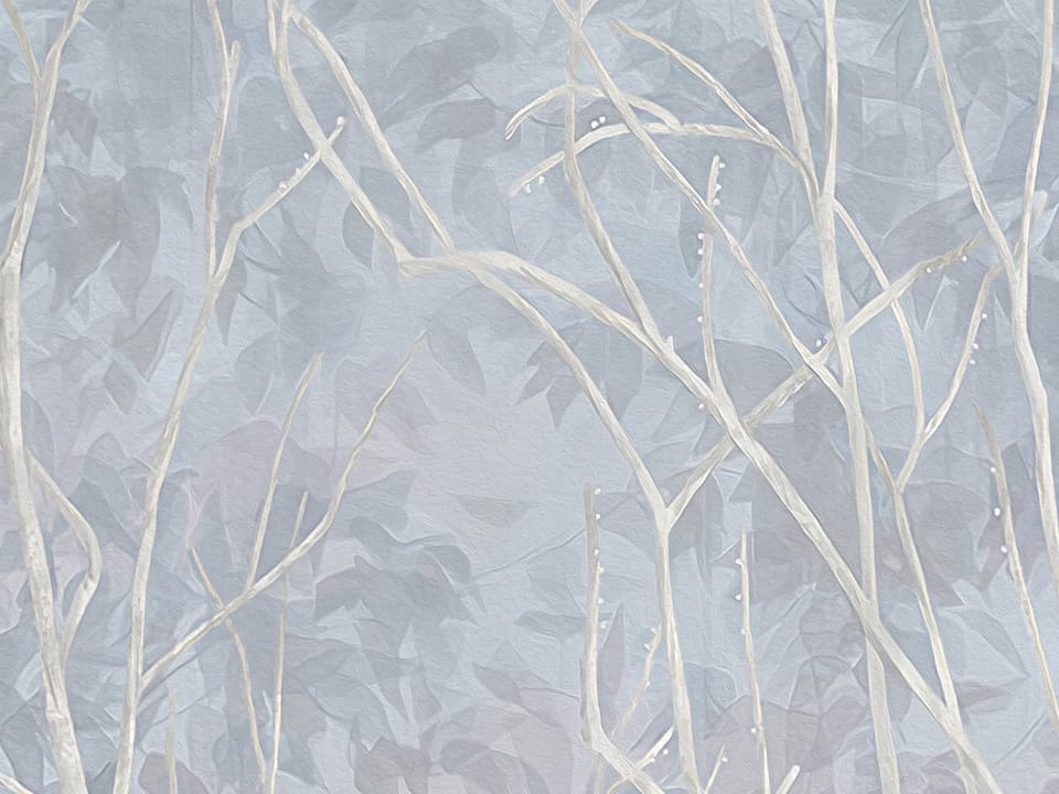 Fototapeta Las z wysokimi drzewami fragment #2