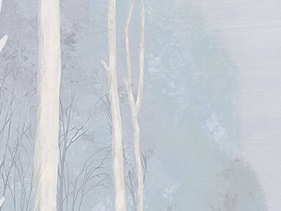 Fototapeta Las z wysokimi drzewami fragment #3