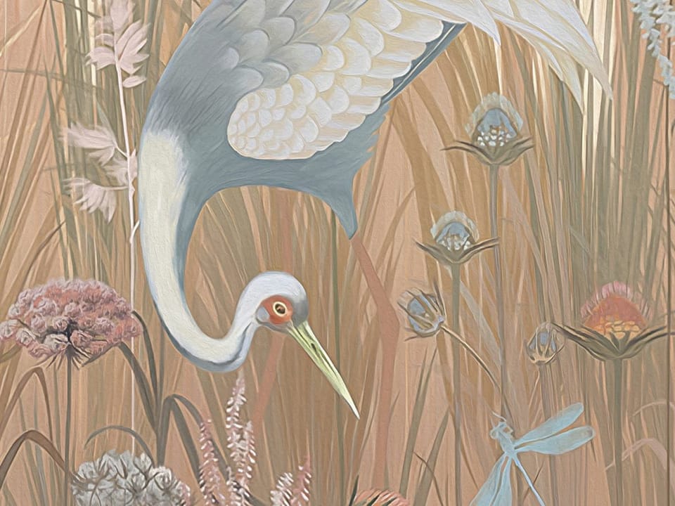 Fototapeta Las z wysokimi drzewami i trzcinami fragment #1