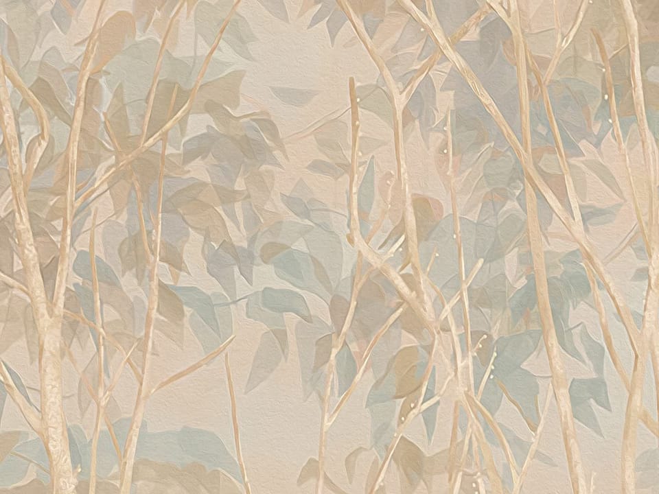 Fototapeta Las z wysokimi drzewami i trzcinami fragment #2