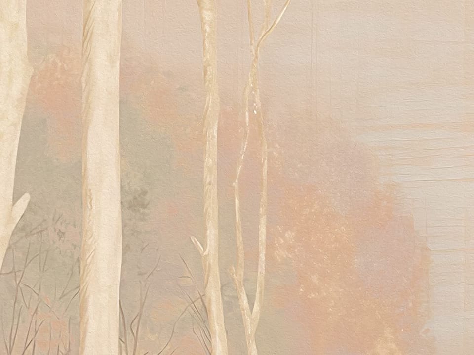 Fototapeta Las z wysokimi drzewami i trzcinami fragment #3