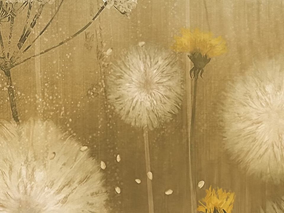 Fototapeta Dmuchawce na łące z żółtymi kwiatami fragment #1