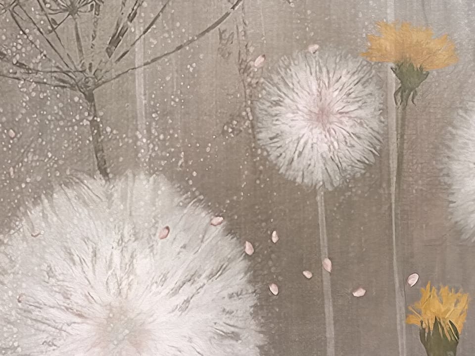 Fototapeta Dmuchawce na łące z kwiatami fragment #1