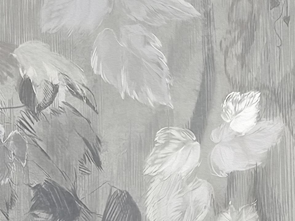 Fototapeta Gęste liście i pnącza w szarości fragment #1