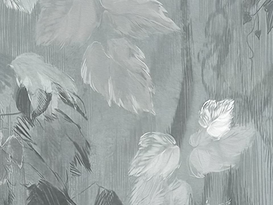 Fototapeta Liście i pnącza w delikatnym świetle fragment #1