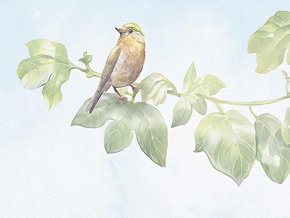 Fototapeta Kolorowe róże na łodygach fragment #2