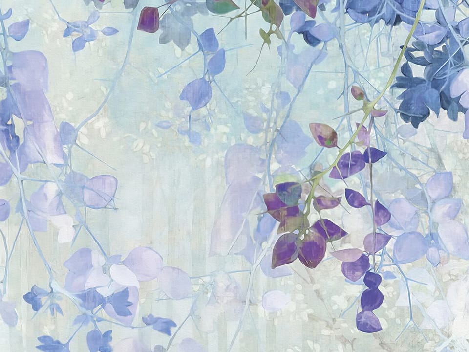 Fototapeta Gałęzie z Fioletowymi Kwiatami fragment #2