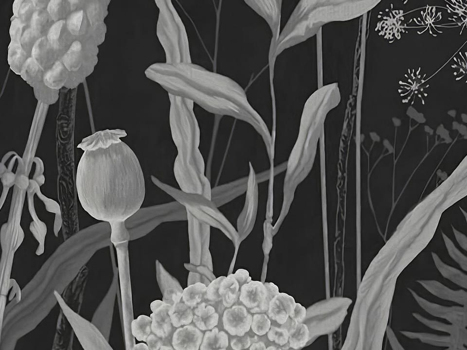 Fototapeta Czarno-białe polne kwiaty fragment #1