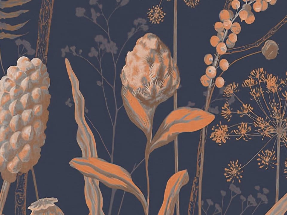 Fototapeta Kwiaty polne na ciemnym tle fragment #1