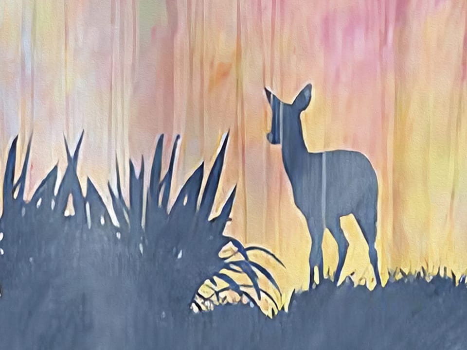 Fototapeta Sylwetki jeleni w leśnym krajobrazie fragment #1