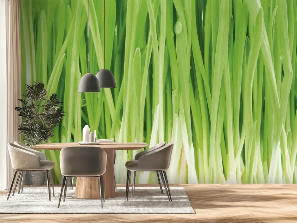 Fototapeta przedstawiająca zielone źdźbła trawy w jasnym oświetleniu - ściana za stołem w nowoczesnej kuchni