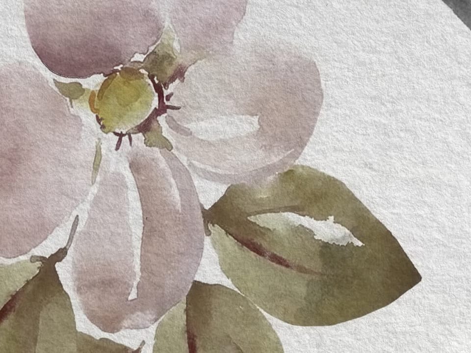 Fototapeta Kolorowe kwiaty z liśćmi fragment #1