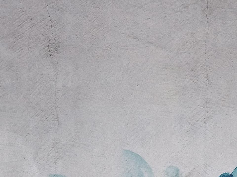 Fototapeta Niebieskie Kwiaty na Szarym Tle fragment #2