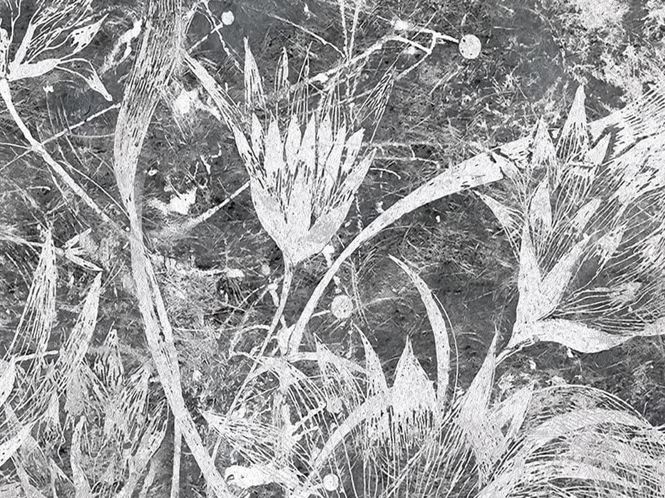 Fototapeta Białe Kwiaty na Szarym Tle fragment #1