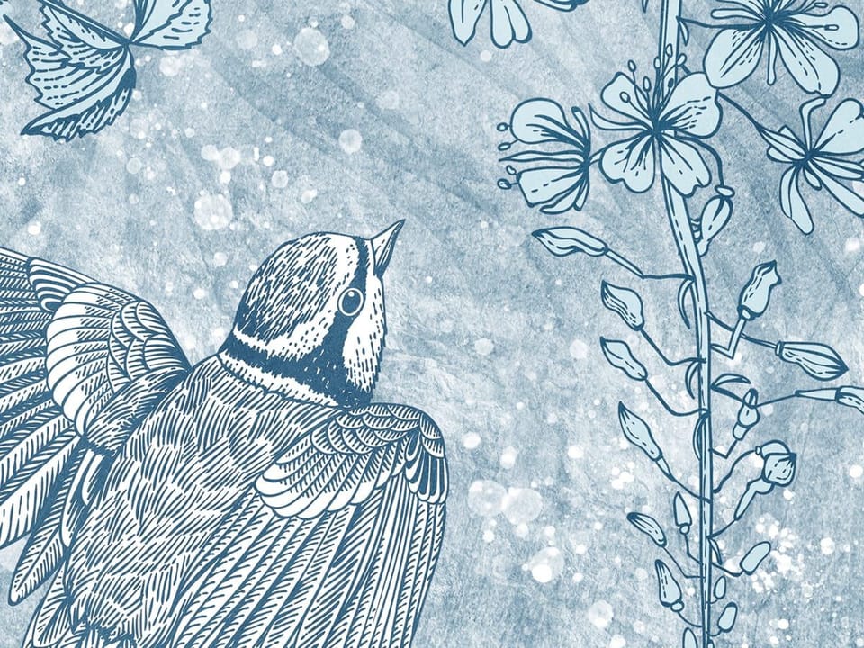 Fototapeta Wiszące gałęzie z kwiatami fragment #1