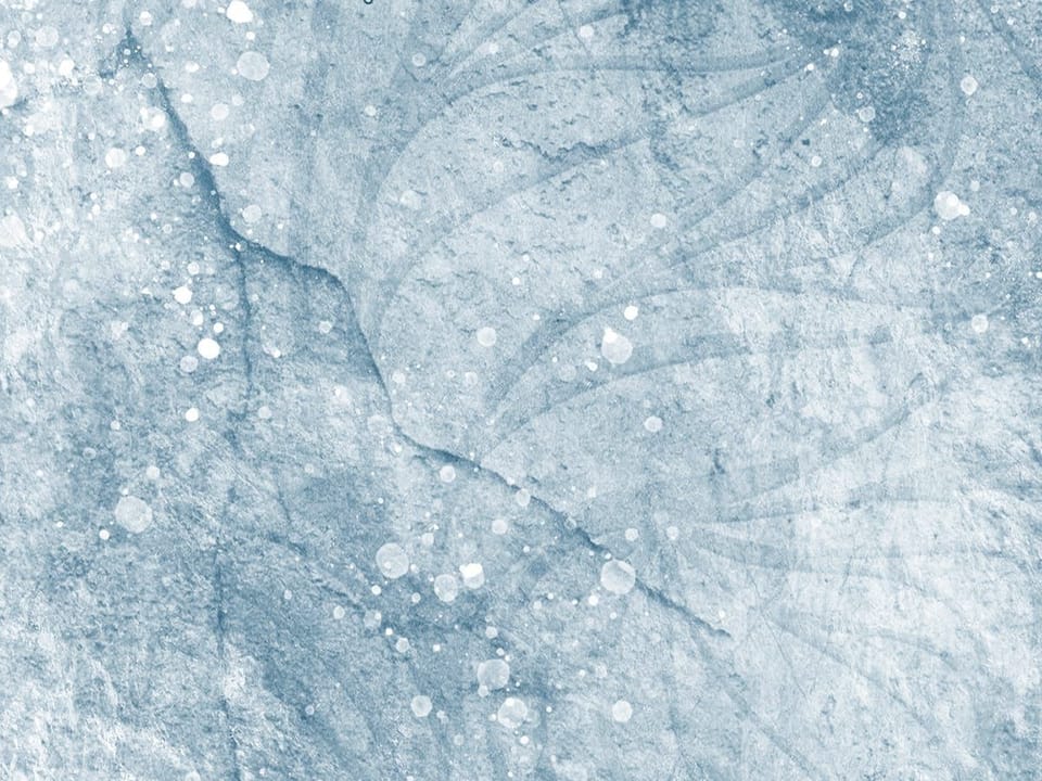 Fototapeta Wiszące gałęzie z kwiatami fragment #2