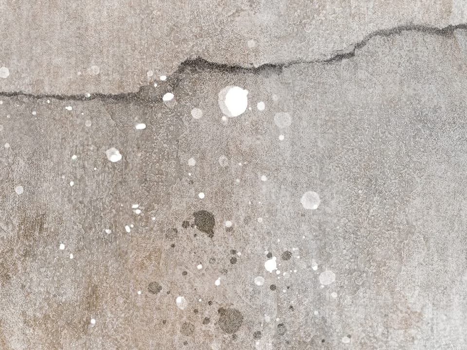 Fototapeta Abstrakcyjne kwiaty na ścianie fragment #2