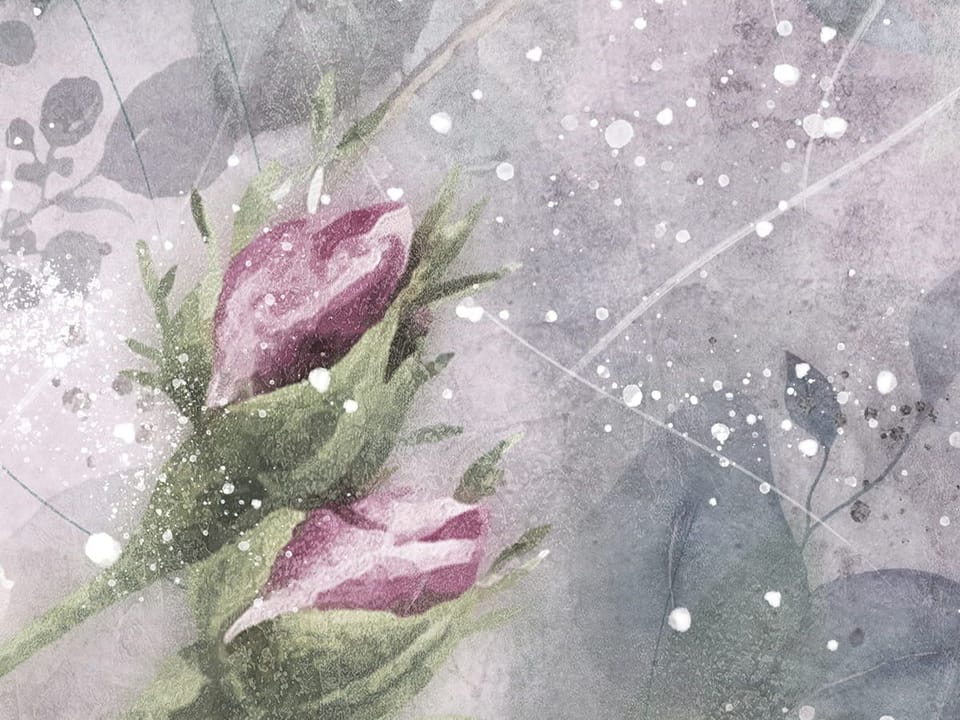 Fototapeta Różowe kwiaty wśród zieleni fragment #2