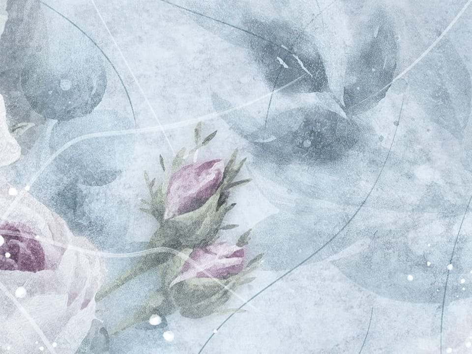 Fototapeta Pastelowe róże na subtelnym tle fragment #2