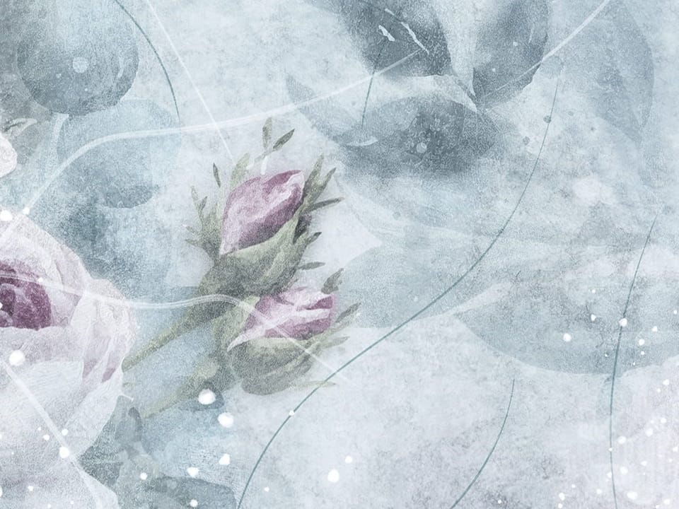 Fototapeta Różowe róże na tle liści fragment #2