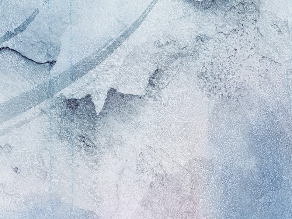 Fototapeta Delikatne kwiaty na jasnym tle fragment #2