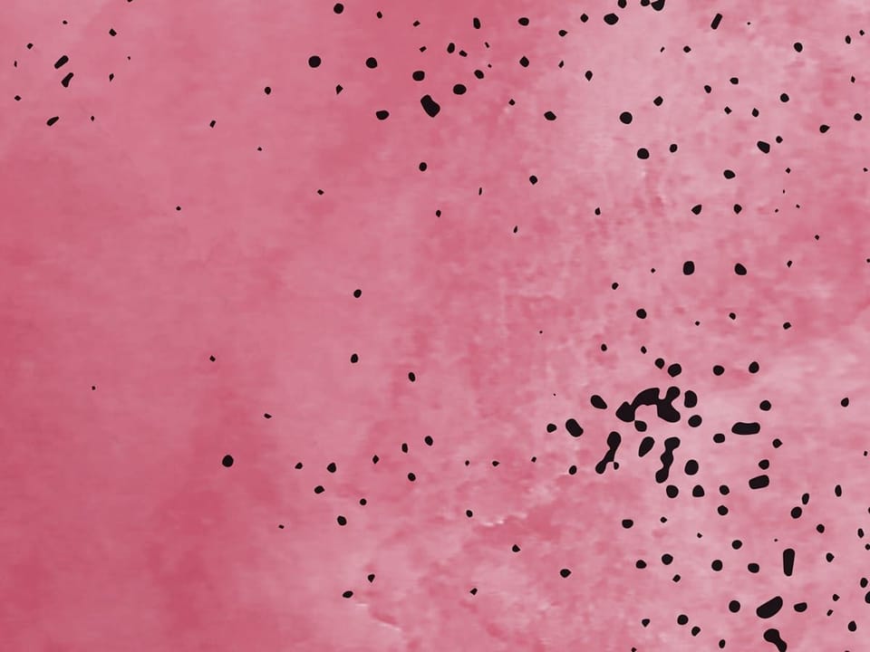 Fototapeta Granaty na białym tle fragment #2