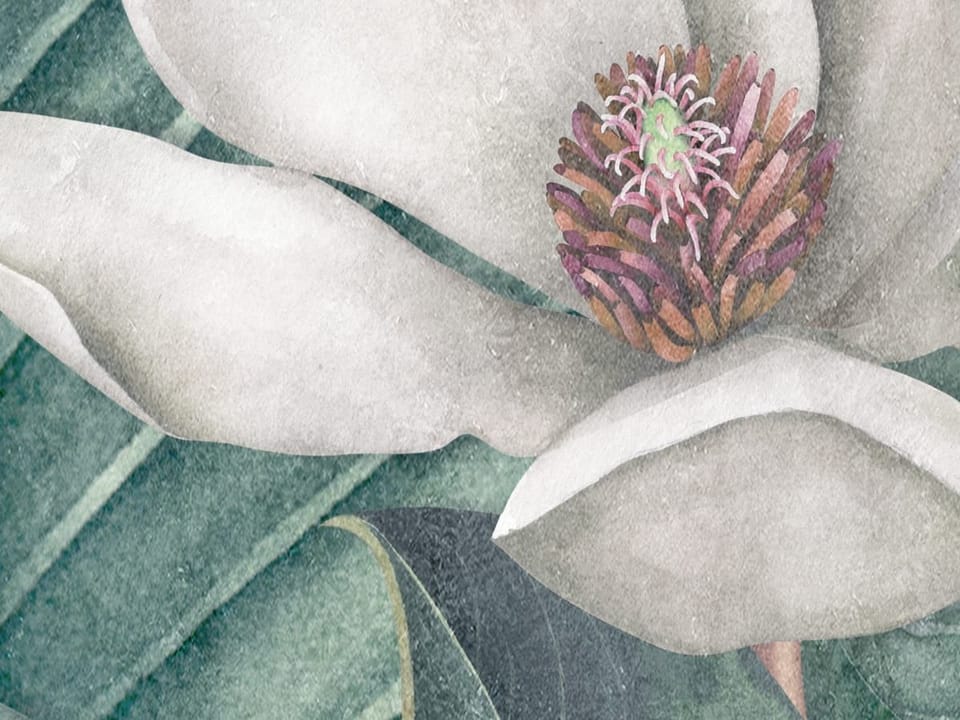 Fototapeta Tropikalne liście i kwiaty fragment #1