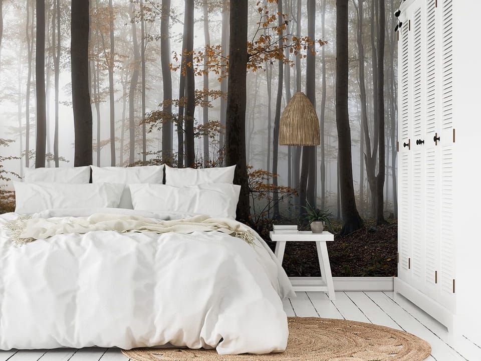 Fototapeta Tajemniczy Las z Mgłą we wnętrzu sypialni