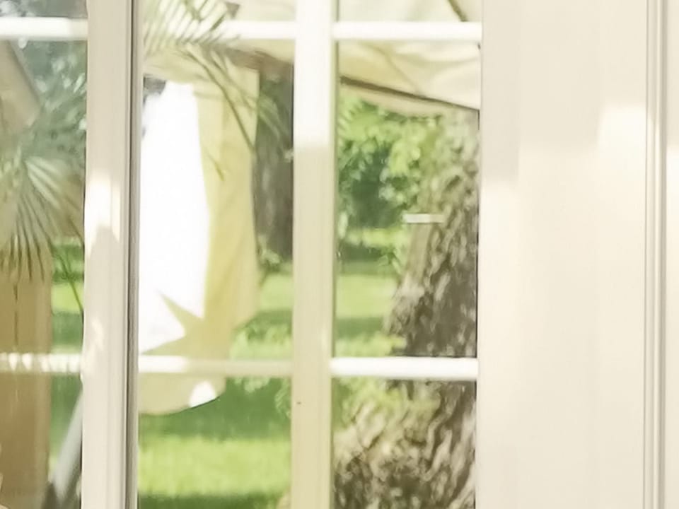 Fototapeta Widok z okna z roślinami fragment #2