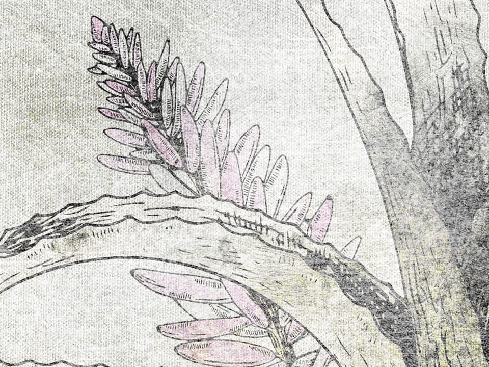 Fototapeta Rośliny i Kwiaty na Szarym Tle fragment #1