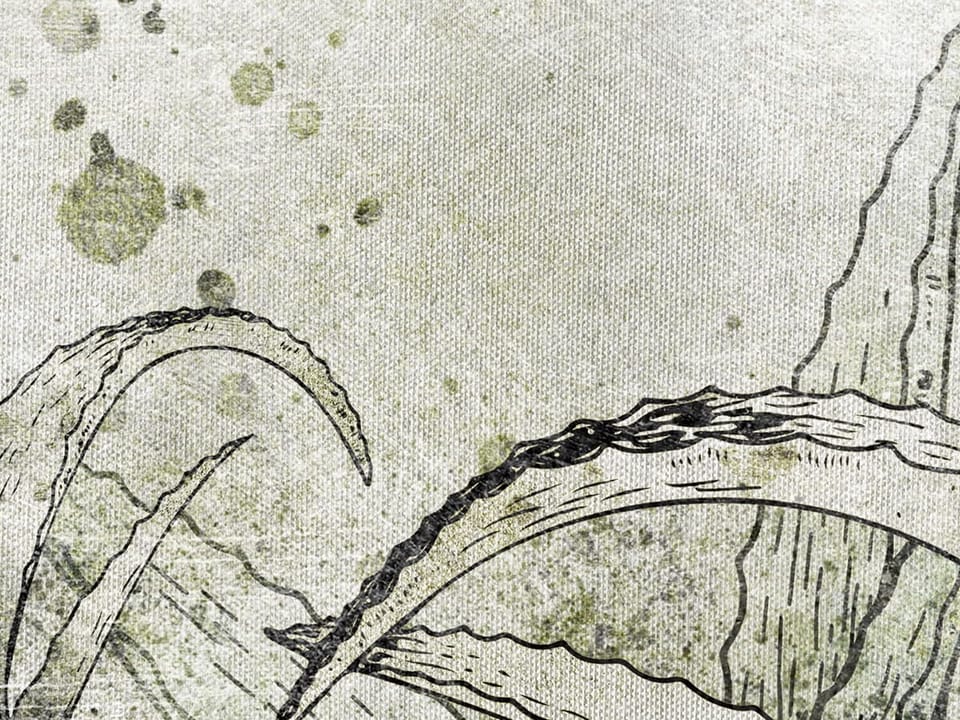 Fototapeta Rośliny i Kwiaty na Szarym Tle fragment #2