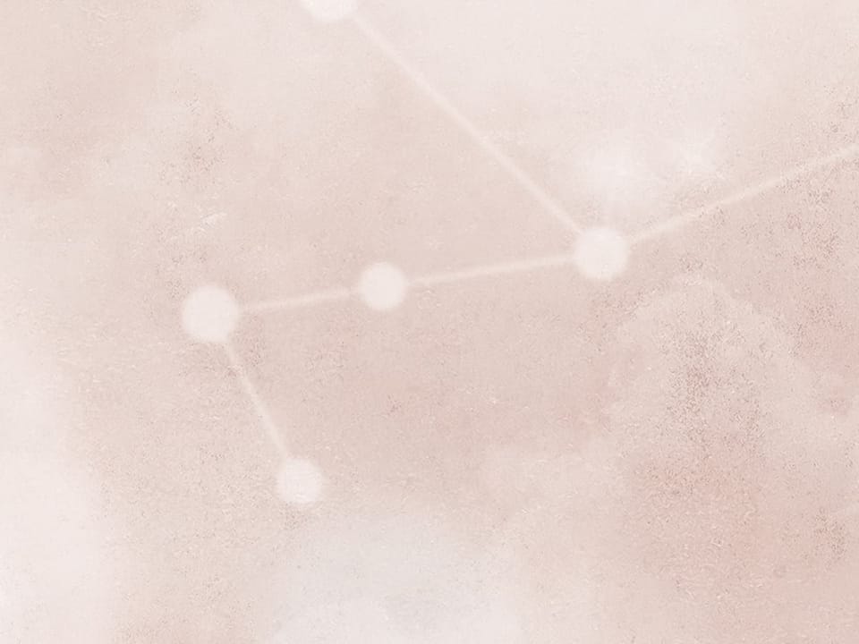 Fototapeta Niedźwiedzie polarne na śniegu fragment #2