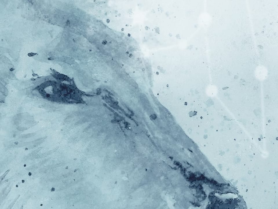 Fototapeta Polarność i Spokój w Śniegu fragment #1