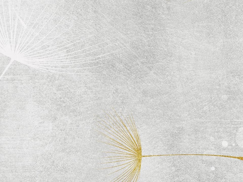 Fototapeta Dmuchawiec na jasnym tle fragment #2