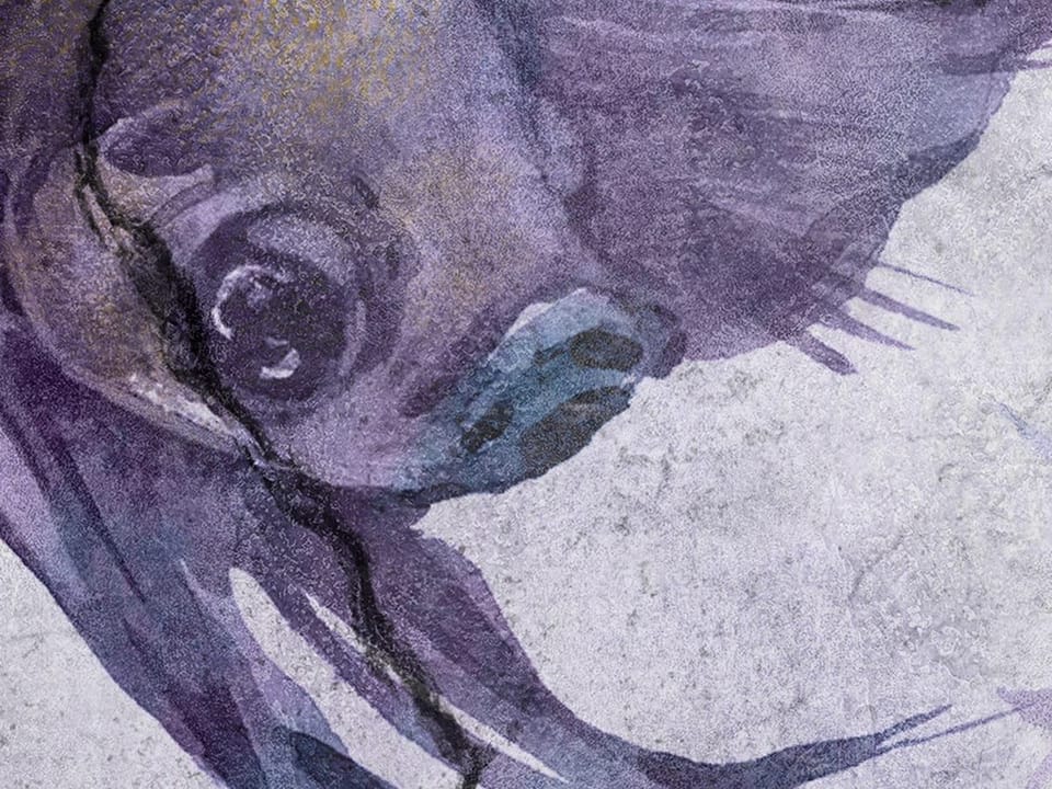 Fototapeta Fioletowe ryby na szarym tle fragment #1