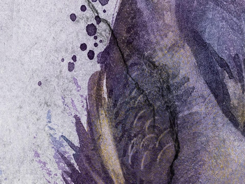 Fototapeta Fioletowe ryby na szarym tle fragment #2