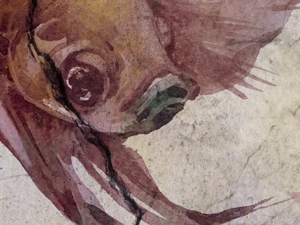 Fototapeta Akwariowe ryby w fioletach fragment #1