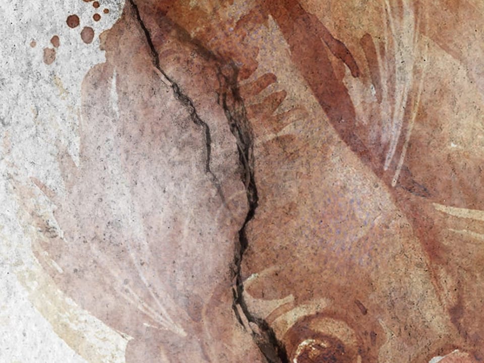 Fototapeta Wzór z Rybami na Jasnym Tle fragment #1