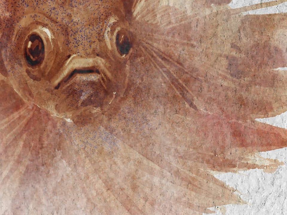 Fototapeta Wzór z Rybami na Jasnym Tle fragment #2