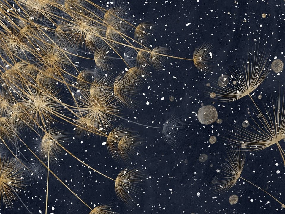 Fototapeta Dmuchawce z Koszami Balonowymi fragment #1