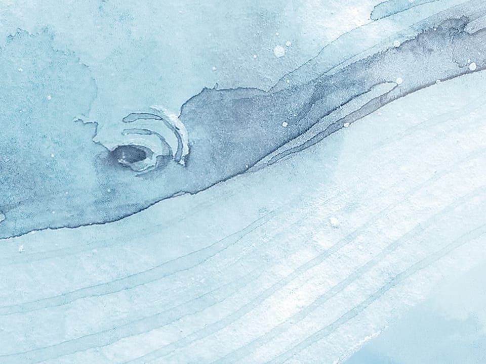 Fototapeta Wieloryb w chmurach z balonami fragment #1