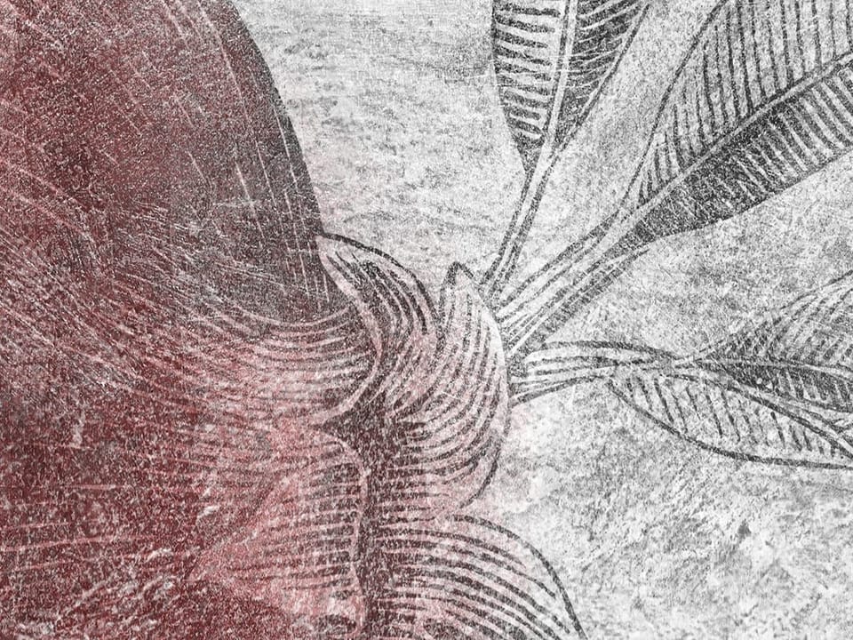 Fototapeta Gałęzie Granatu na Betonie fragment #1