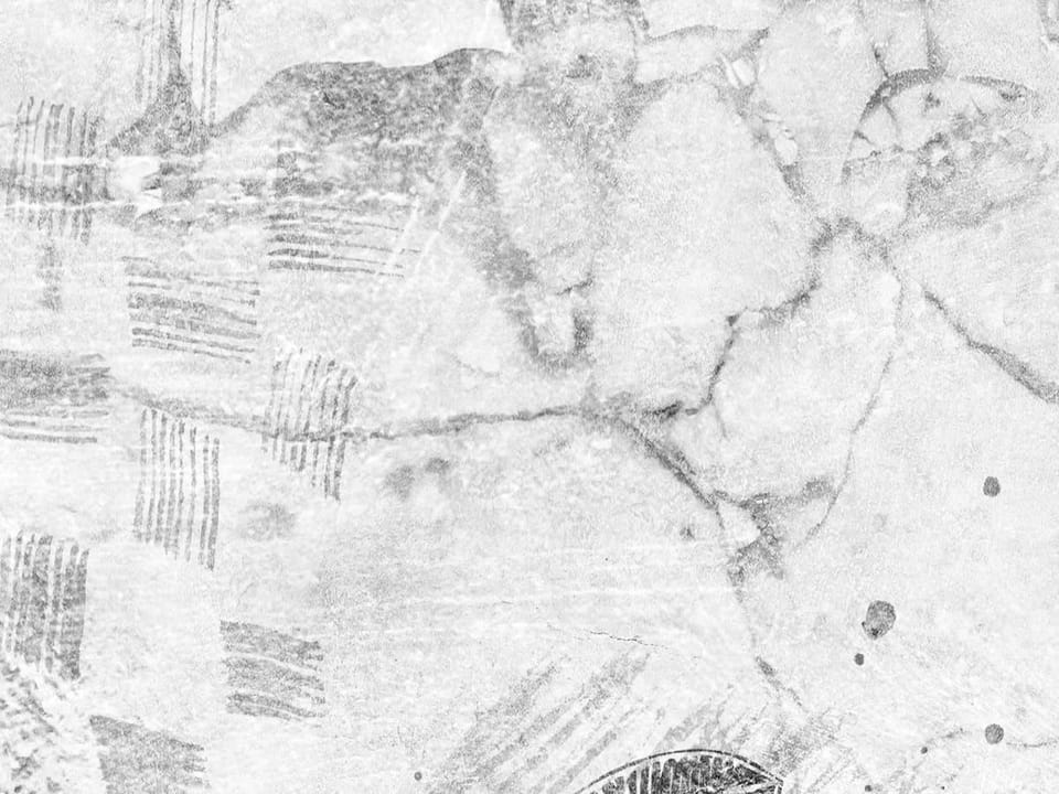 Fototapeta Gałęzie Granatu na Betonie fragment #2