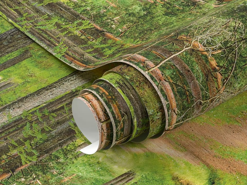 Fototapeta Leśna droga wśród wysokich sosen fragment #1